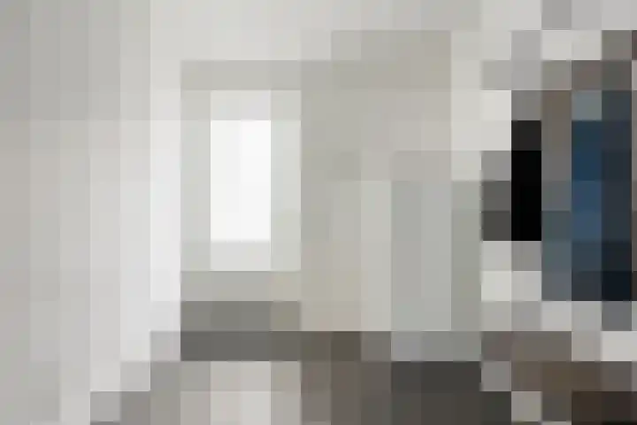 De Peppels 4 Wanroij thumbnail 23