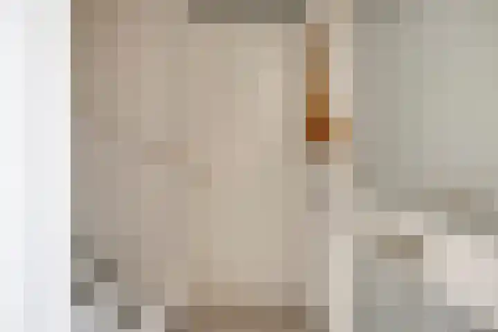 De Peppels 4 Wanroij thumbnail 24