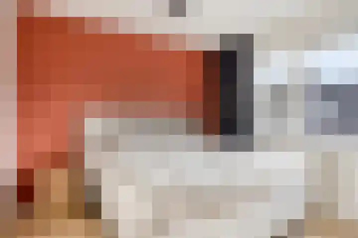 De Peppels 4 Wanroij thumbnail 27