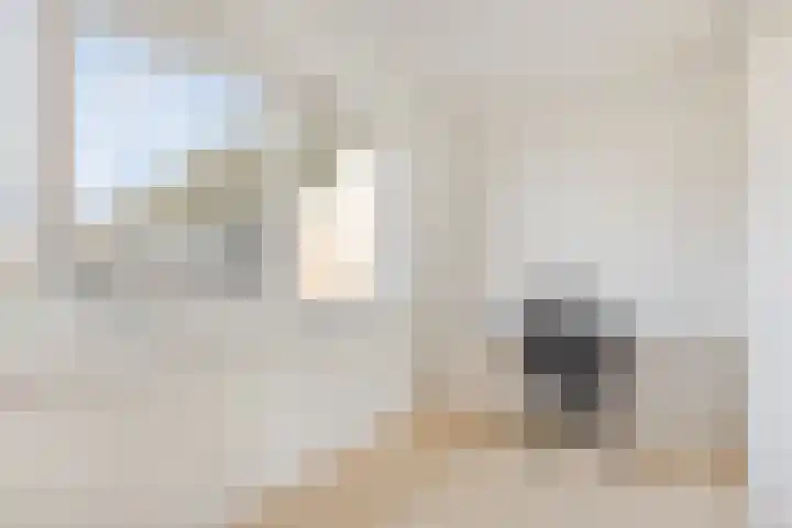 De Peppels 4 Wanroij thumbnail 33