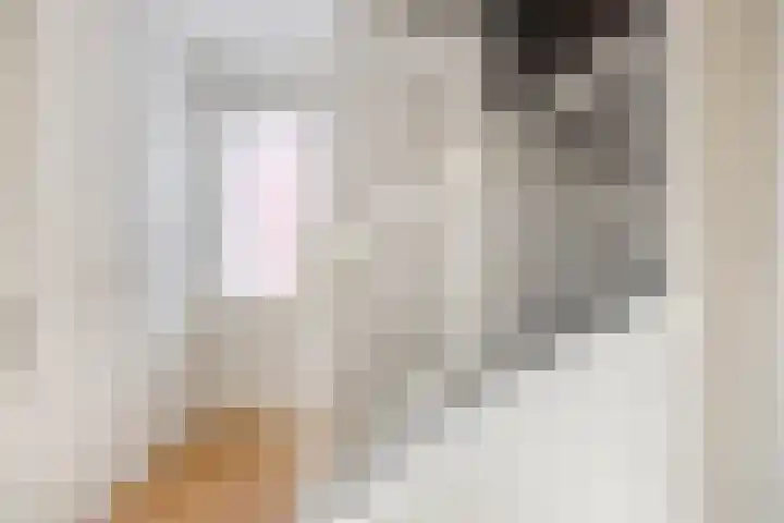 De Peppels 4 Wanroij thumbnail 35