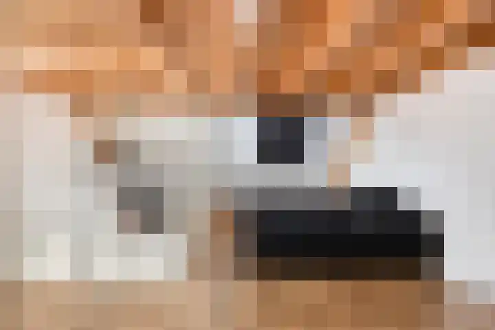 De Peppels 4 Wanroij thumbnail 37