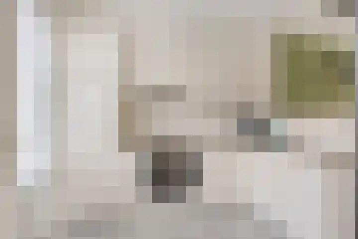 De Peppels 4 Wanroij thumbnail 4
