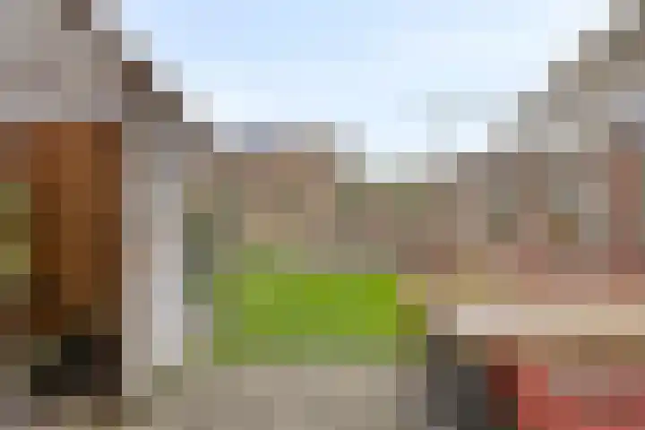 De Peppels 4 Wanroij thumbnail 42