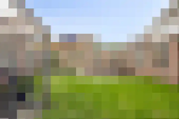 De Peppels 4 Wanroij thumbnail 43