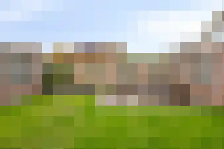 De Peppels 4 Wanroij thumbnail 44