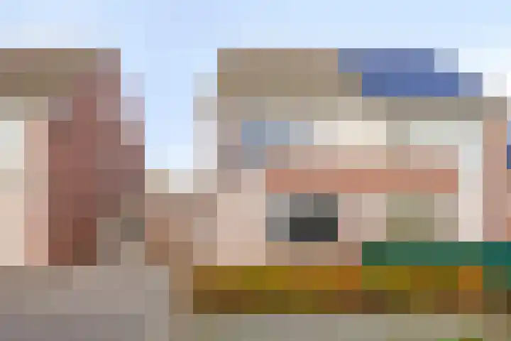 De Peppels 4 Wanroij thumbnail 5