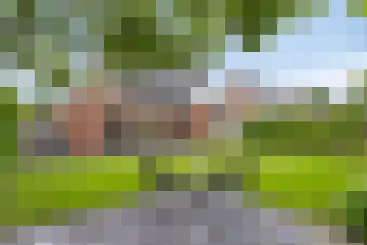 De Pergola 2 Apeldoorn thumbnail 27