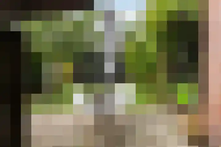 De Pergola 54 Apeldoorn thumbnail 26