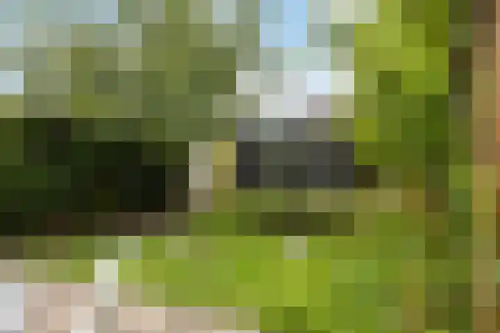 De Pergola 54 Apeldoorn thumbnail 27