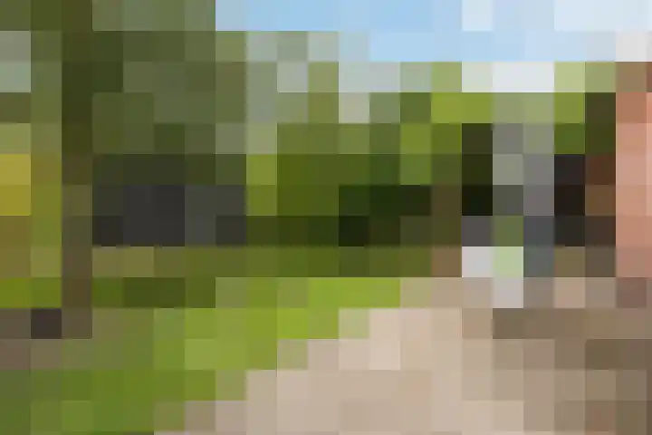De Pergola 54 Apeldoorn thumbnail 28