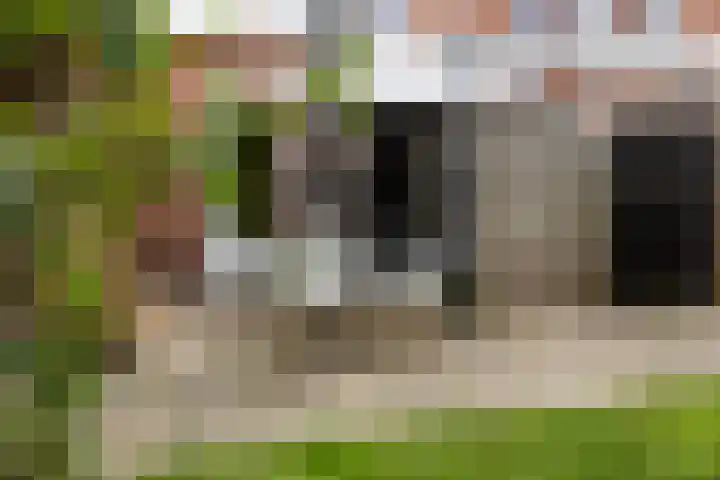 De Pergola 54 Apeldoorn thumbnail 32