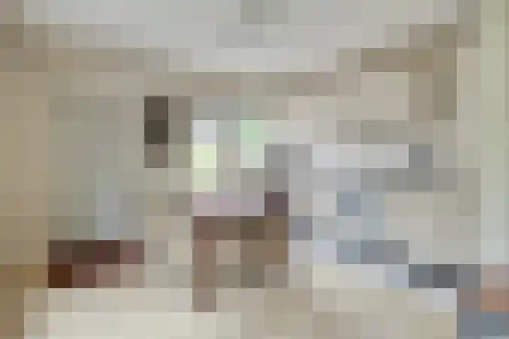 De Perk 1 A Beilen thumbnail 10