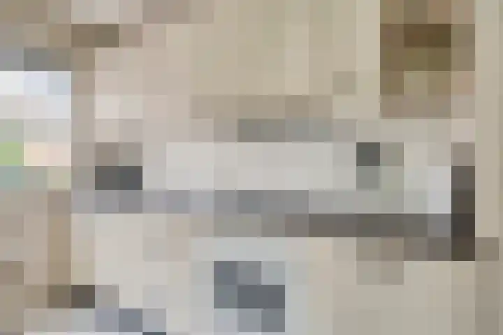 De Perk 1 A Beilen thumbnail 12