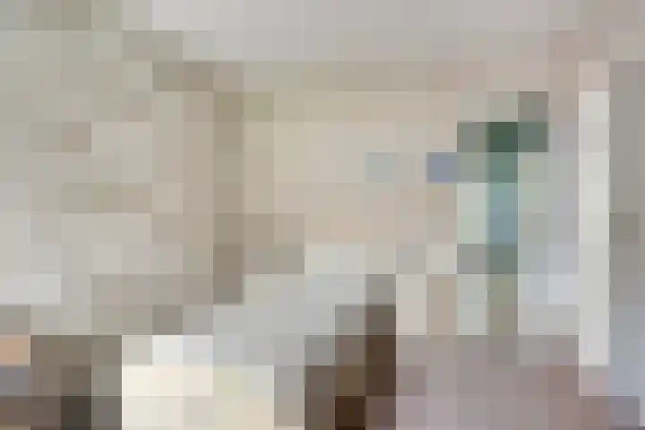 De Perk 1 A Beilen thumbnail 14
