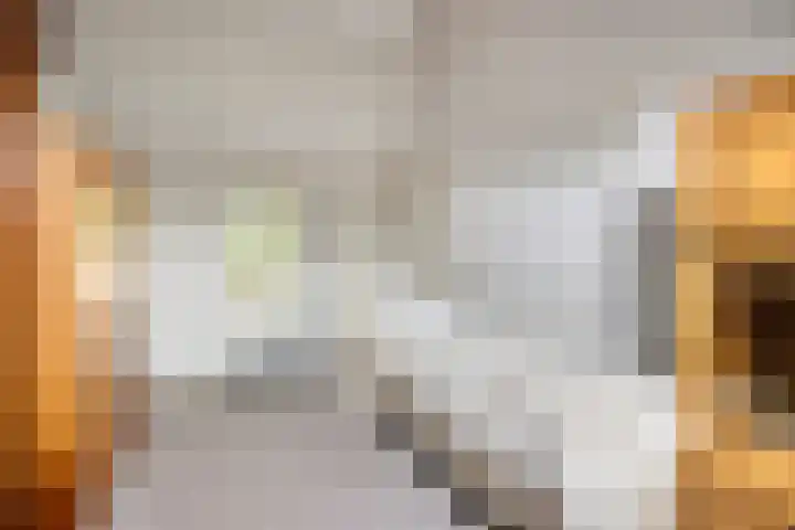 De Perk 1 A Beilen thumbnail 18