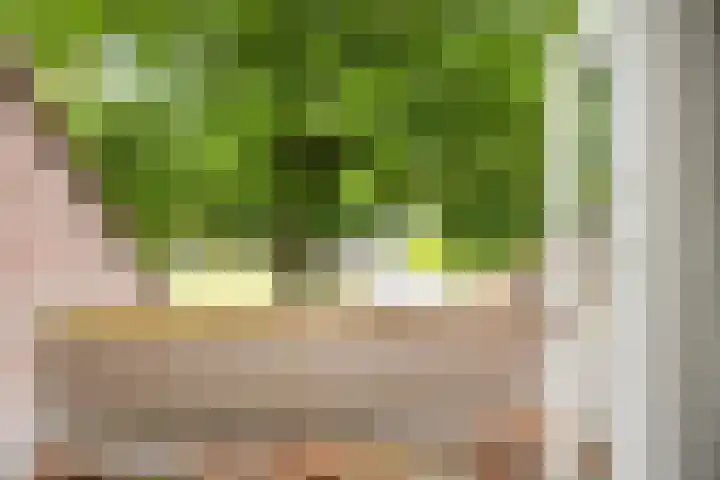 De Perk 1 A Beilen thumbnail 19