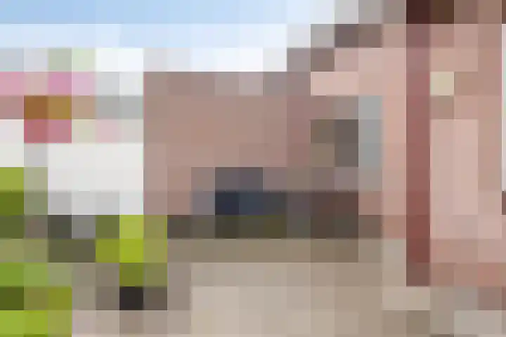 De Perk 1 A Beilen thumbnail 20