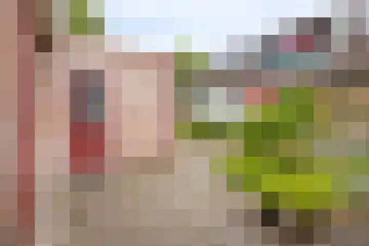 De Perk 1 A Beilen thumbnail 21