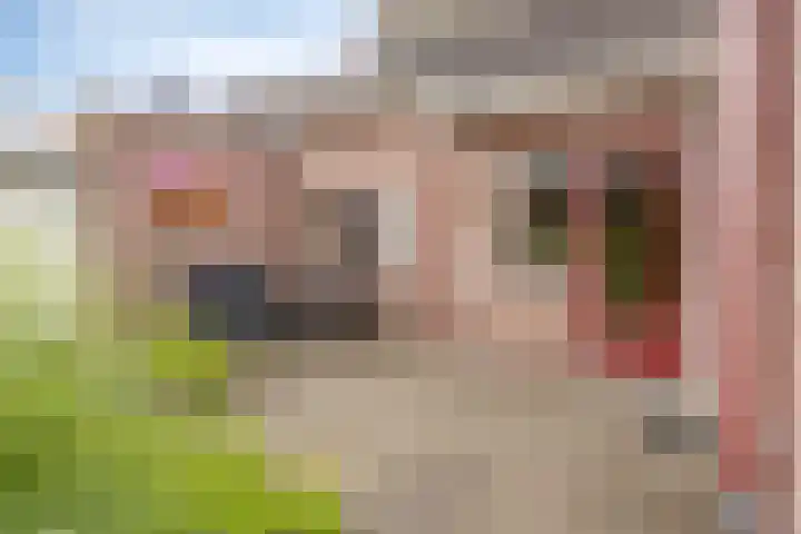De Perk 1 A Beilen thumbnail 22