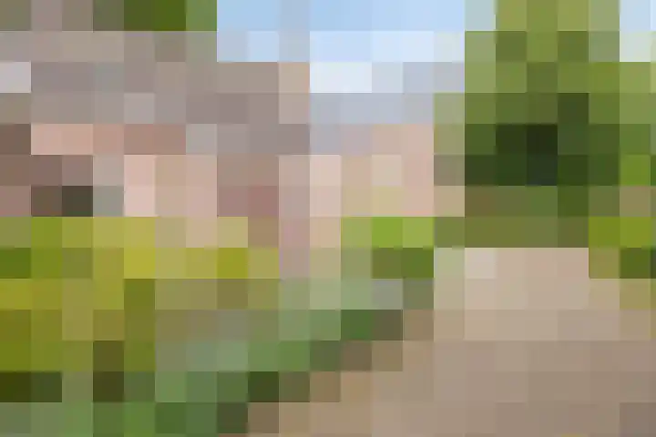 De Perk 1 A Beilen thumbnail 23