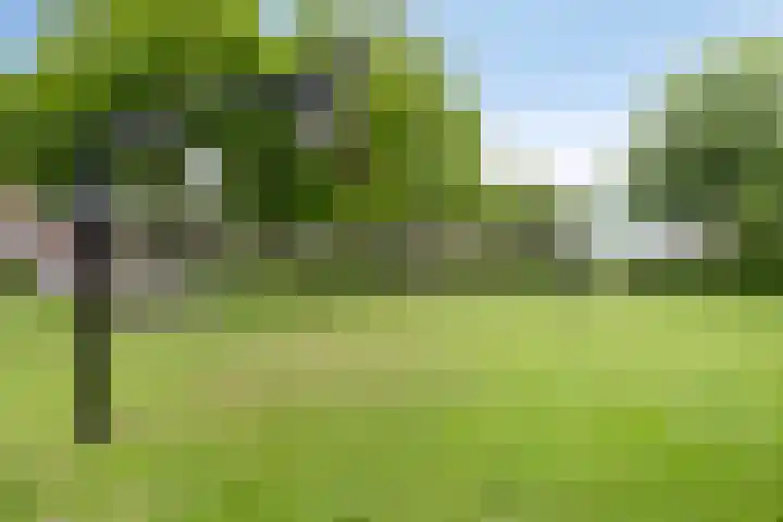 De Perk 1 A Beilen thumbnail 26