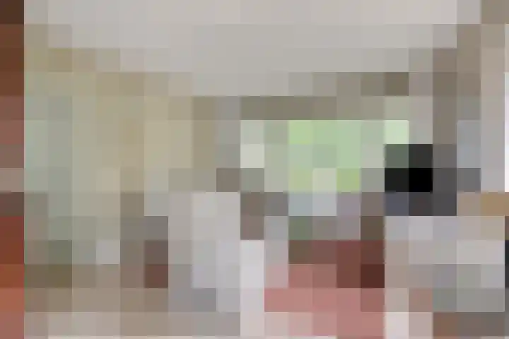De Perk 1 A Beilen thumbnail 4