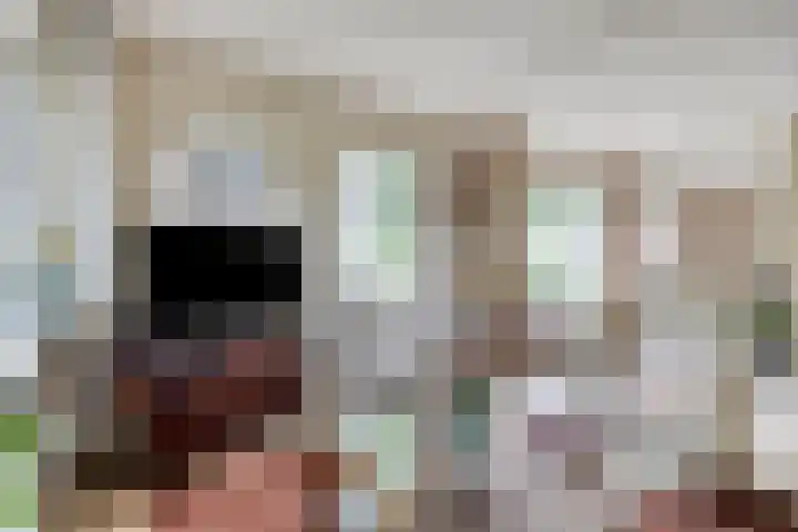 De Perk 1 A Beilen thumbnail 5