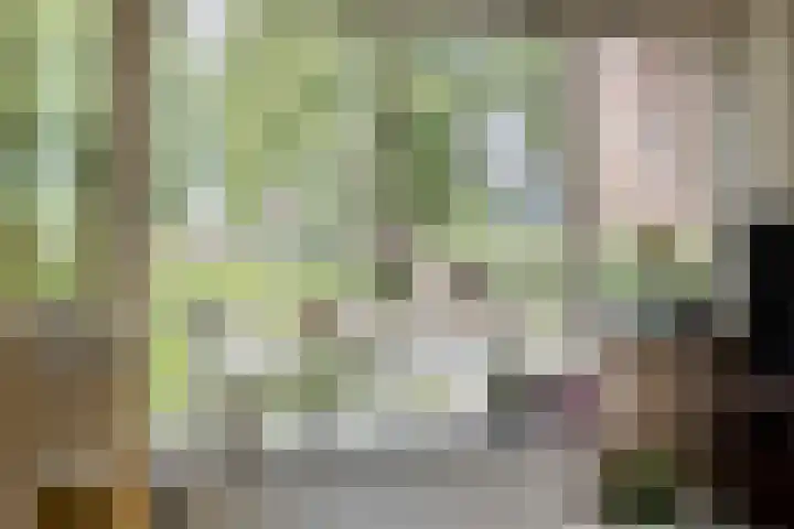 De Perk 1 A Beilen thumbnail 6