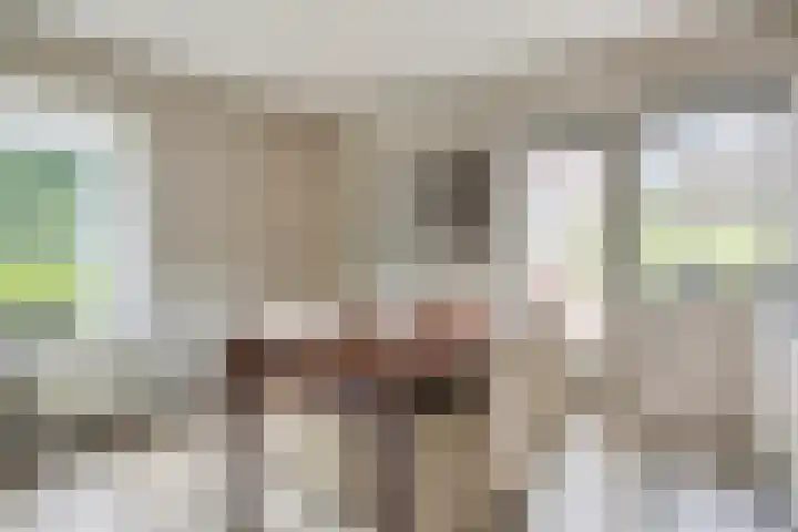 De Perk 1 A Beilen thumbnail 9