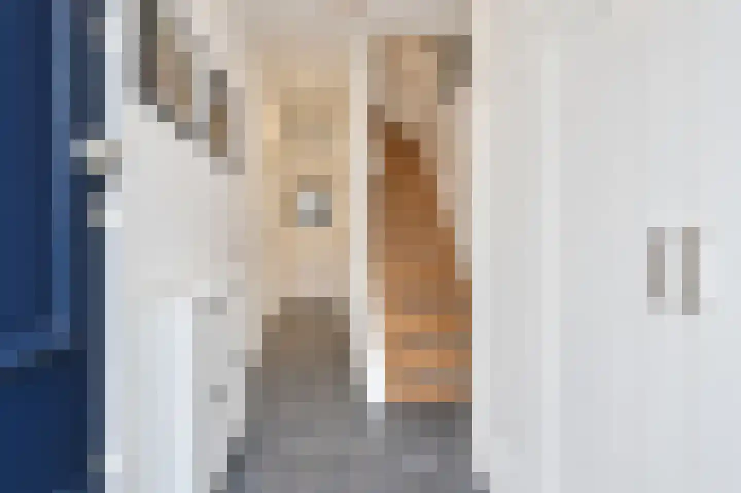 De Perponcherstraat 24 B Den Haag thumbnail 4
