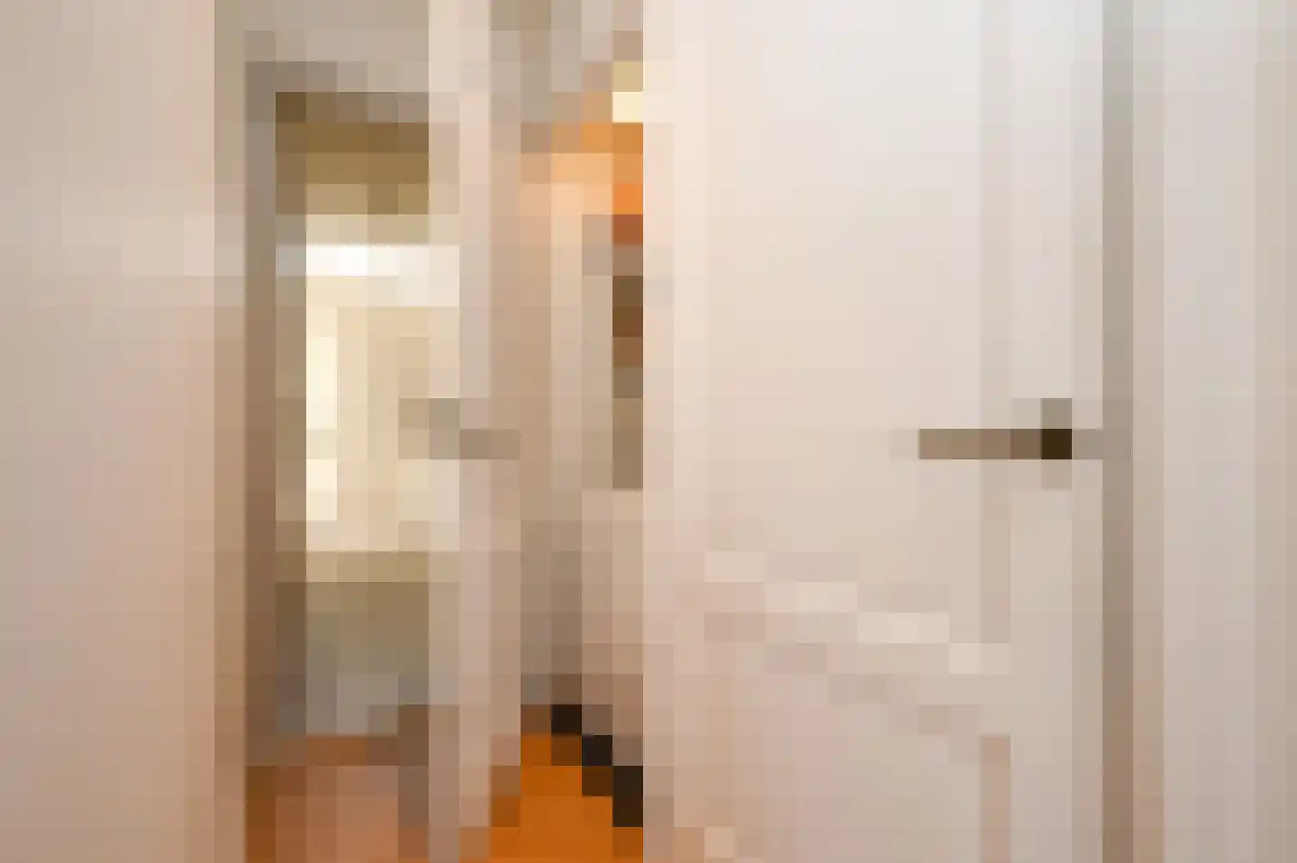 De Perponcherstraat 25 E Den Haag thumbnail 12