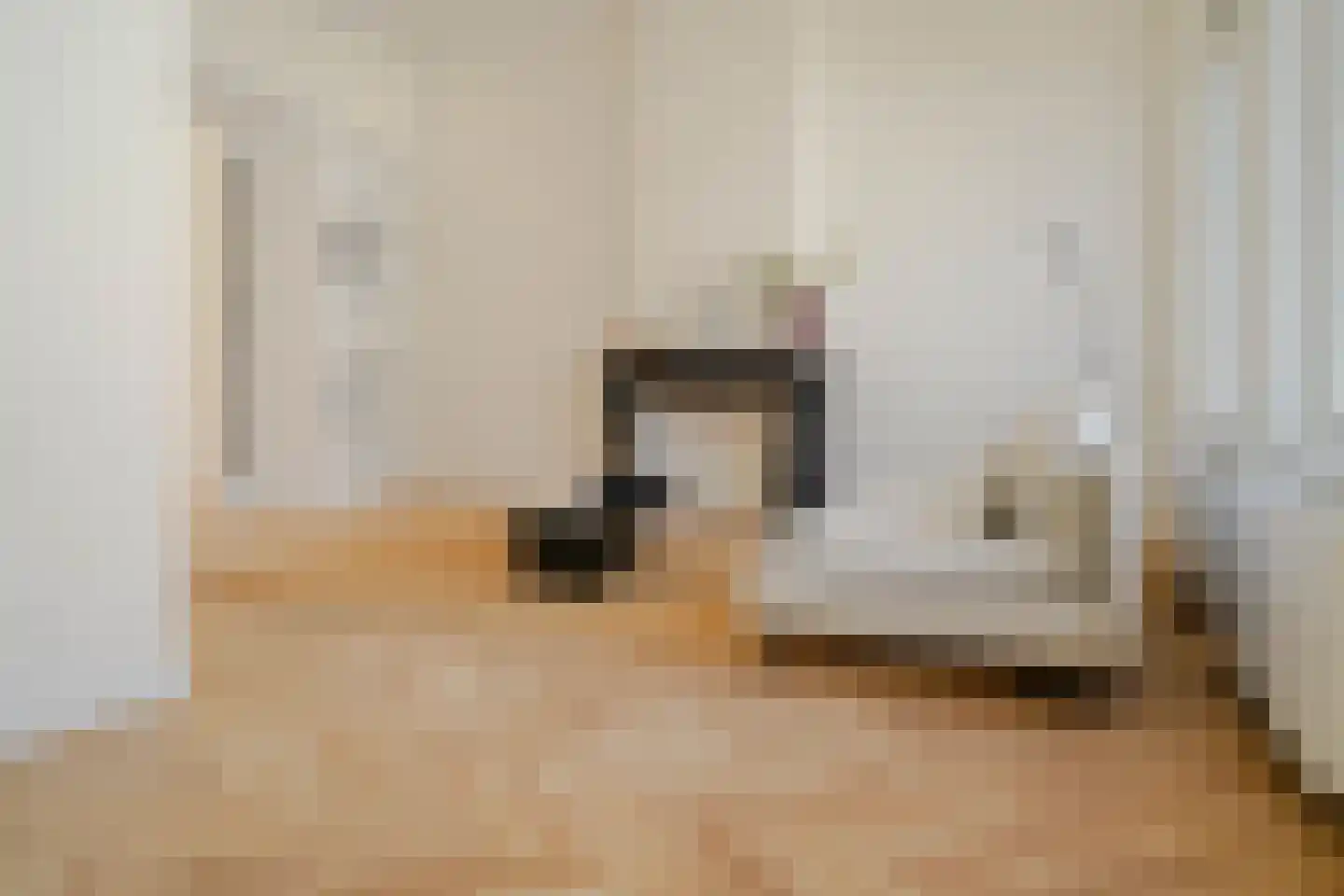 De Perponcherstraat 30 Den Haag thumbnail 5