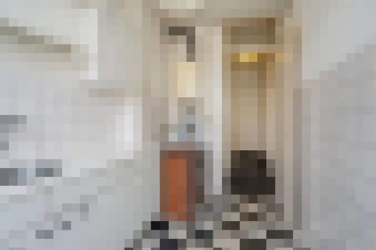 De Perponcherstraat 57 A Den Haag thumbnail 17