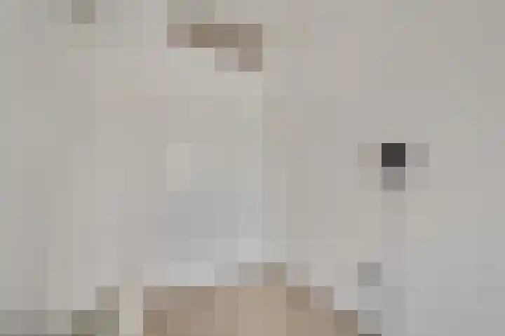 De Perserij 6 Tiel thumbnail 41
