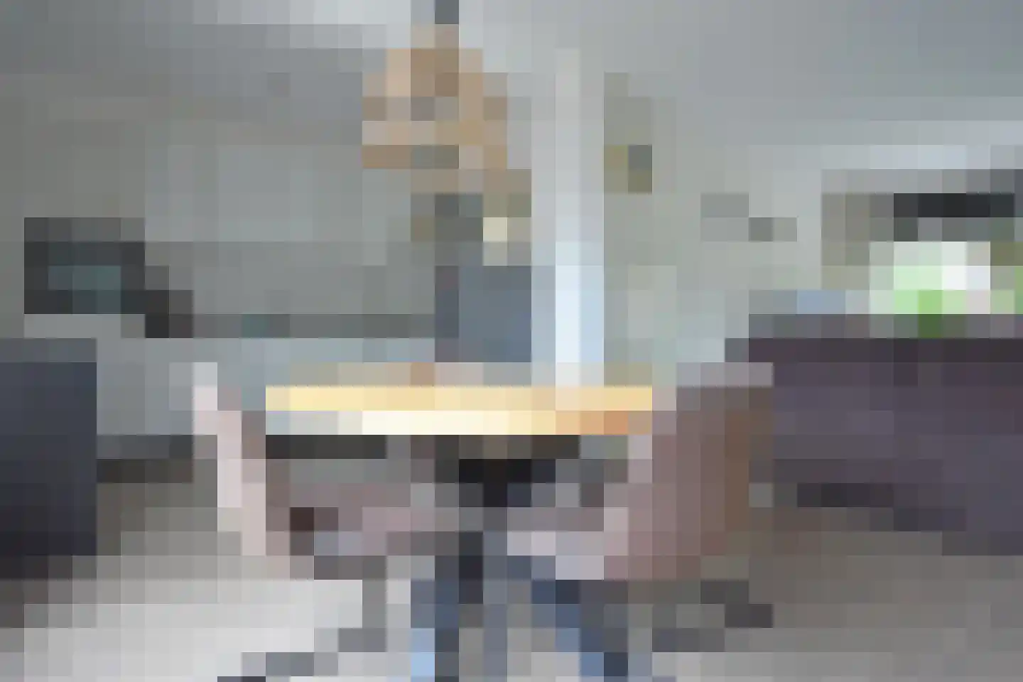De Petten 1 Hurdegaryp thumbnail 21