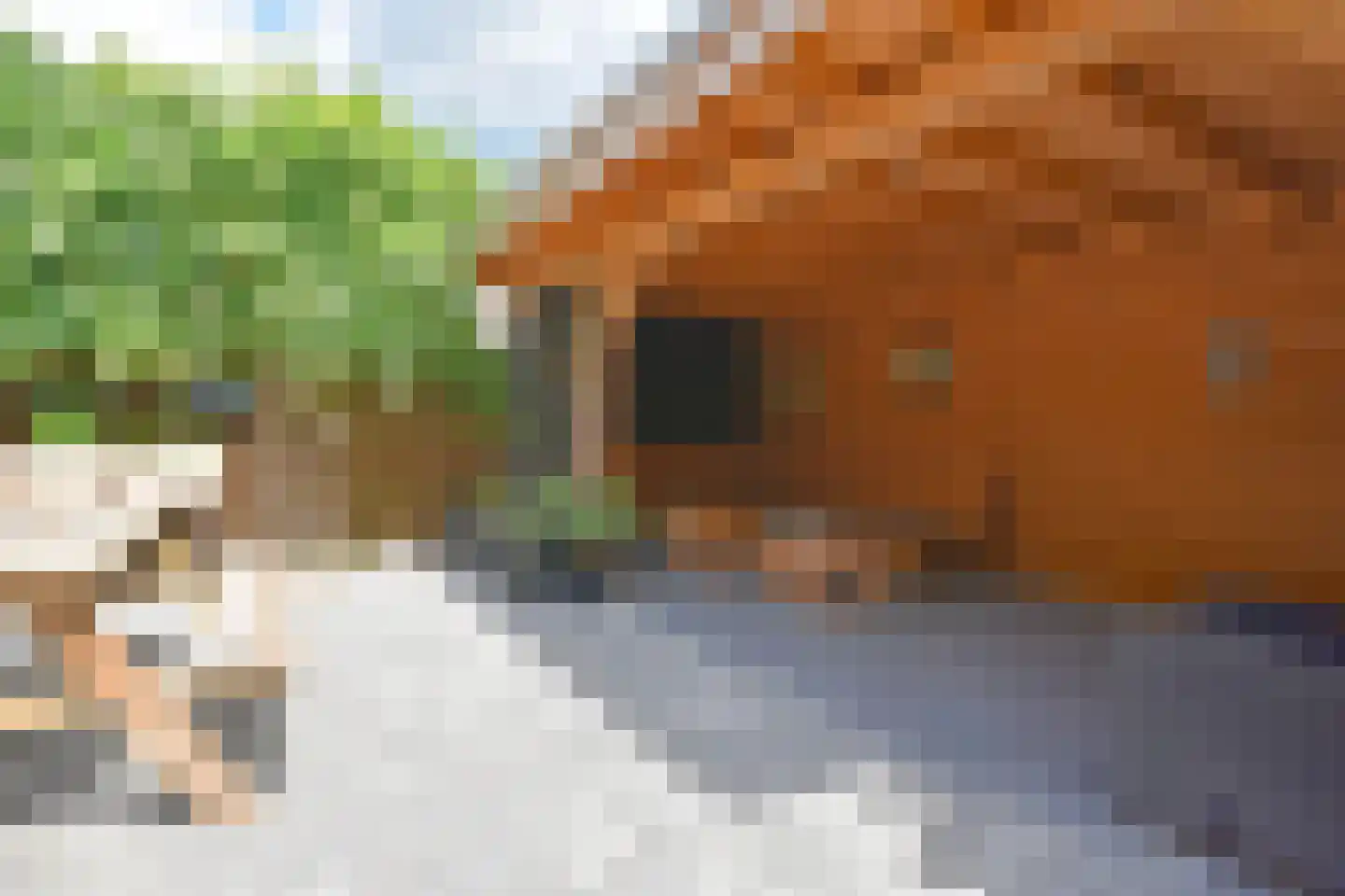 De Petten 1 Hurdegaryp thumbnail 6