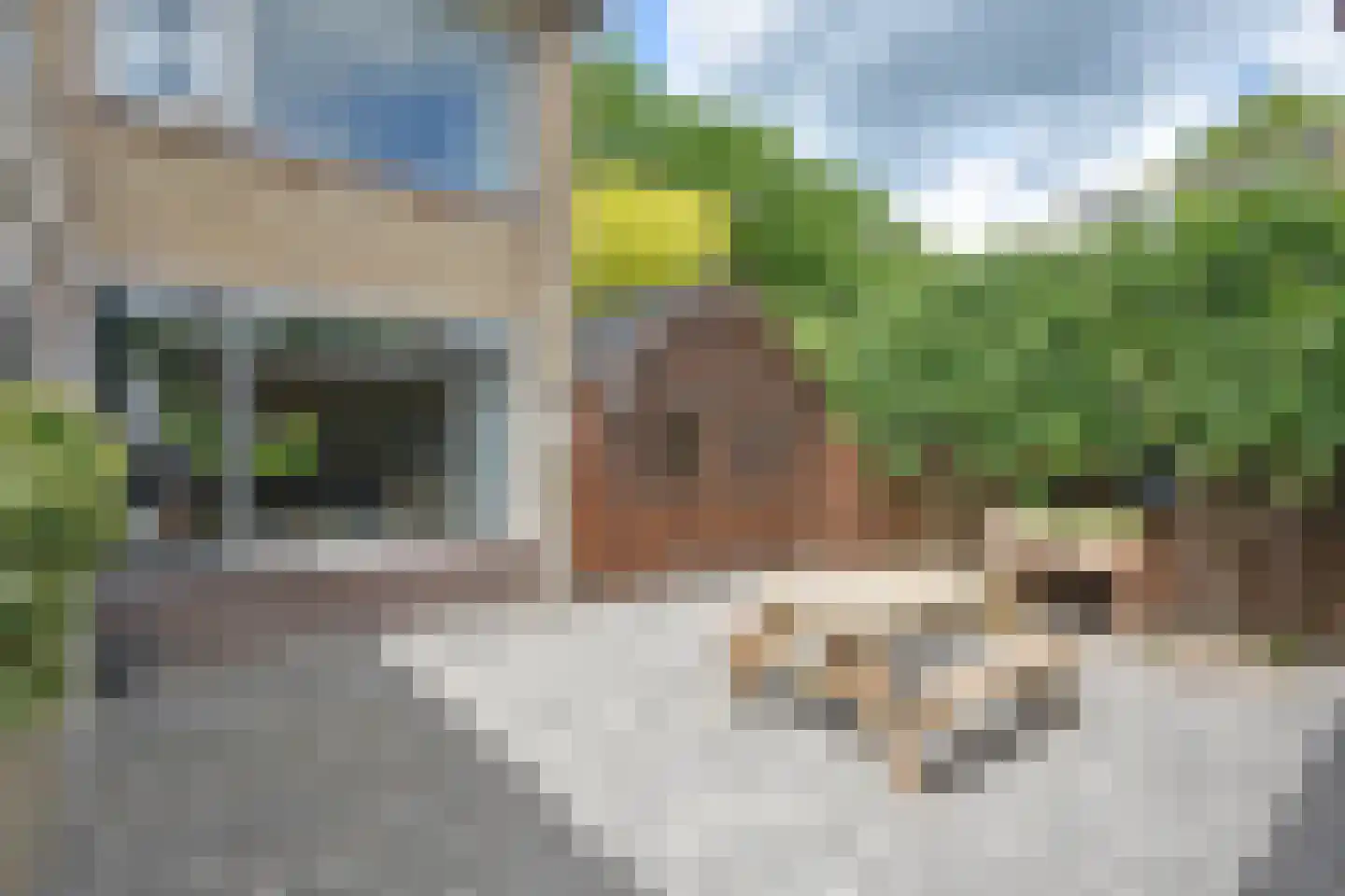 De Petten 1 Hurdegaryp thumbnail 9