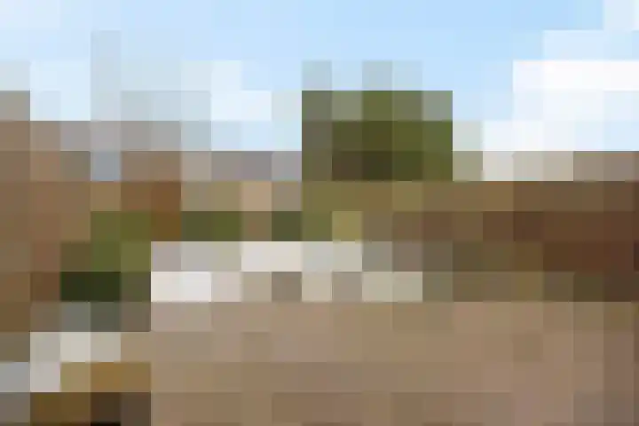 De Petten 12 Hurdegaryp thumbnail 31