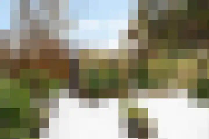 De Petten 12 Hurdegaryp thumbnail 32