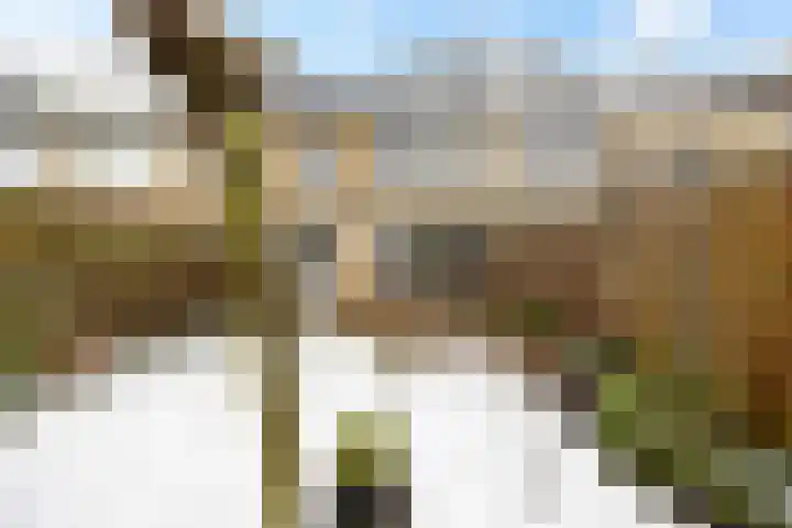 De Petten 12 Hurdegaryp thumbnail 33
