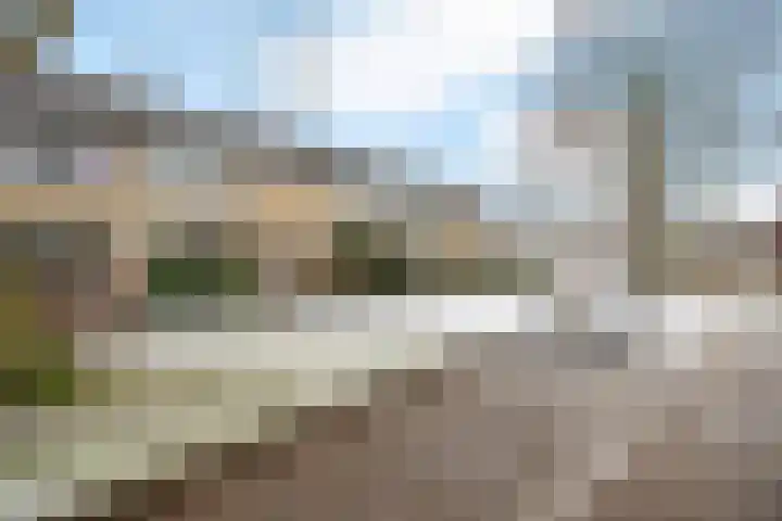 De Petten 12 Hurdegaryp thumbnail 36