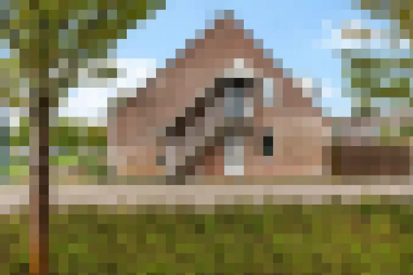 De Phoenix 4 Harlingen thumbnail 10