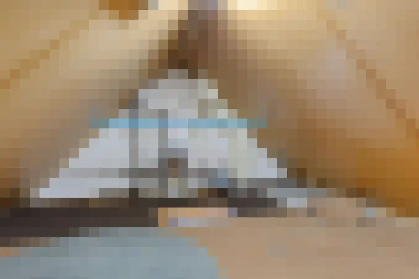 De Phoenix 4 Harlingen thumbnail 32