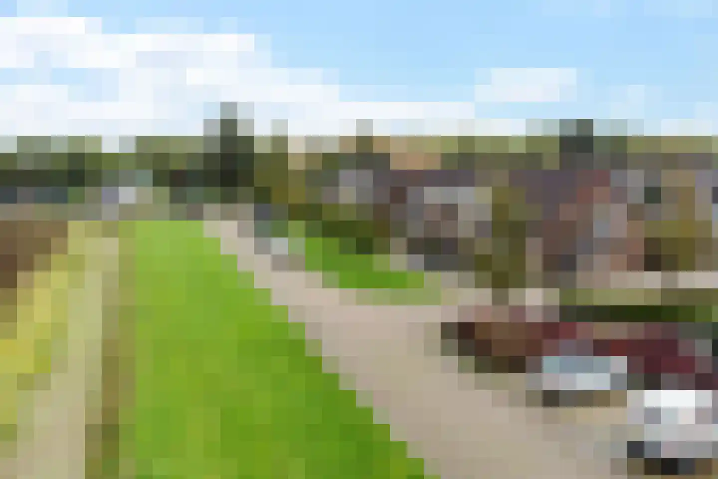 De Phoenix 4 Harlingen thumbnail 5