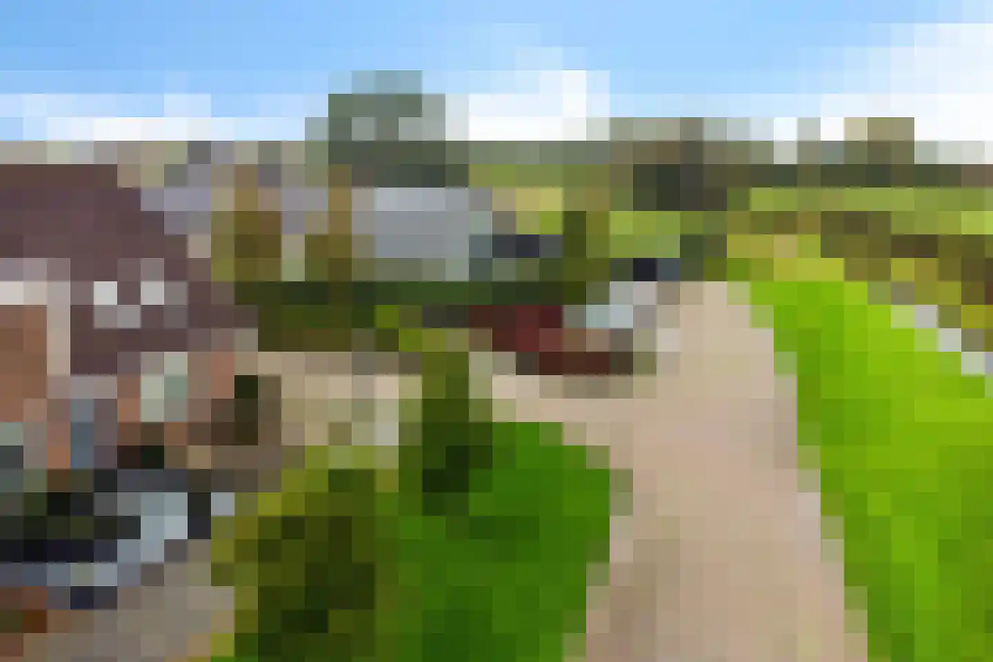 De Phoenix 4 Harlingen thumbnail 7