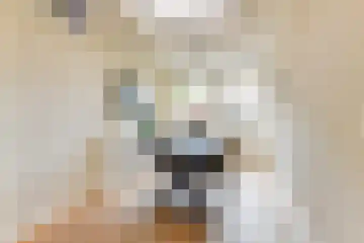 De Piek 3 Tuitjenhorn thumbnail 11