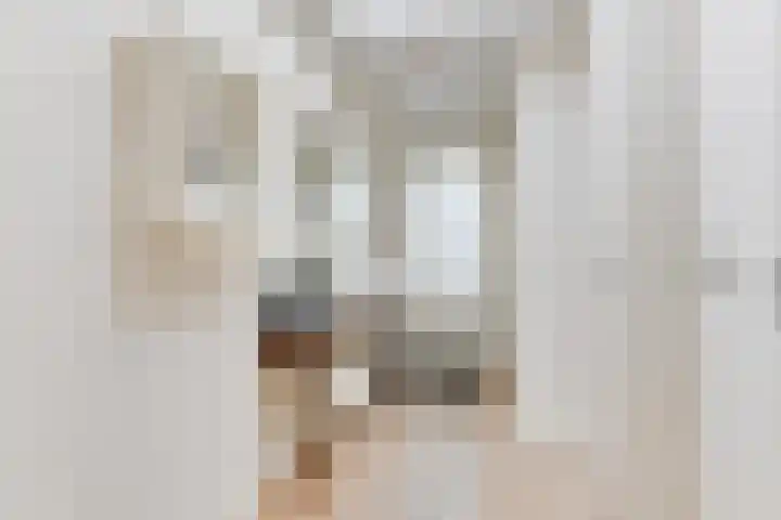 De Piek 3 Tuitjenhorn thumbnail 15