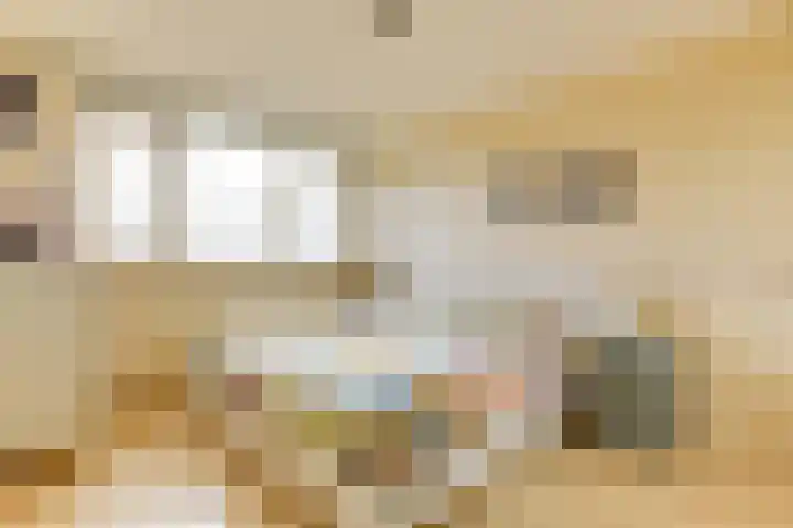 De Piek 3 Tuitjenhorn thumbnail 18