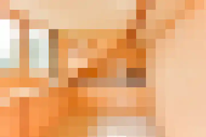 De Piek 3 Tuitjenhorn thumbnail 25